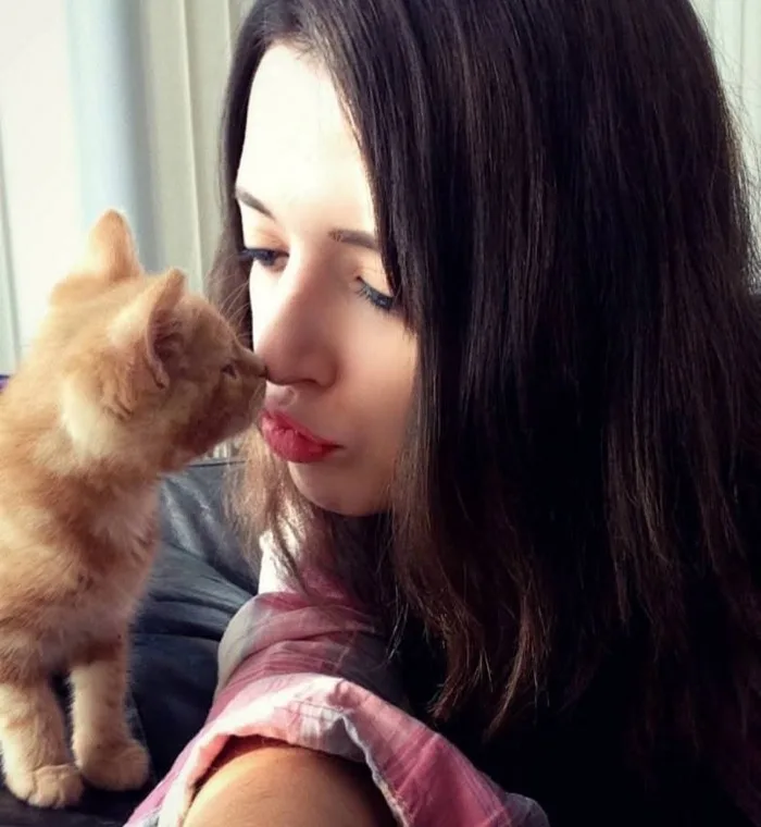 Felicity nose-to-nose with a ginger kitten
